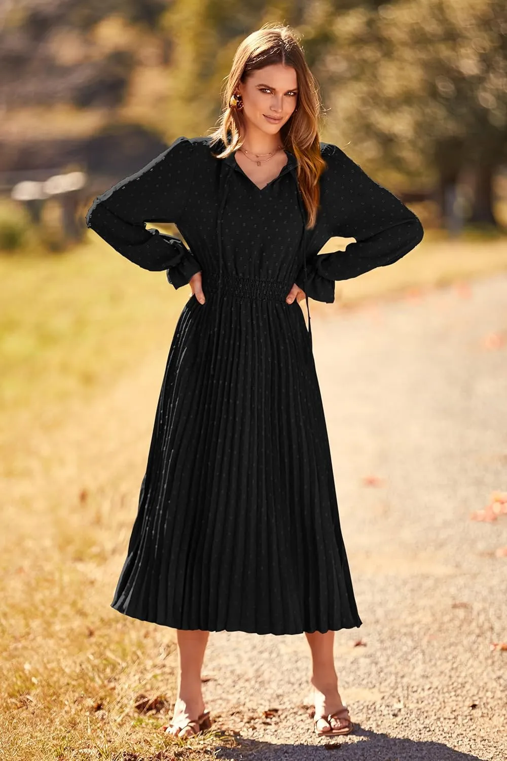 PRETTYGARDEN Women's 2025 Spring Fall Midi Dress Casual Long Sleeve V Neck Swiss Dot Pleated A Line Flowy Dresses