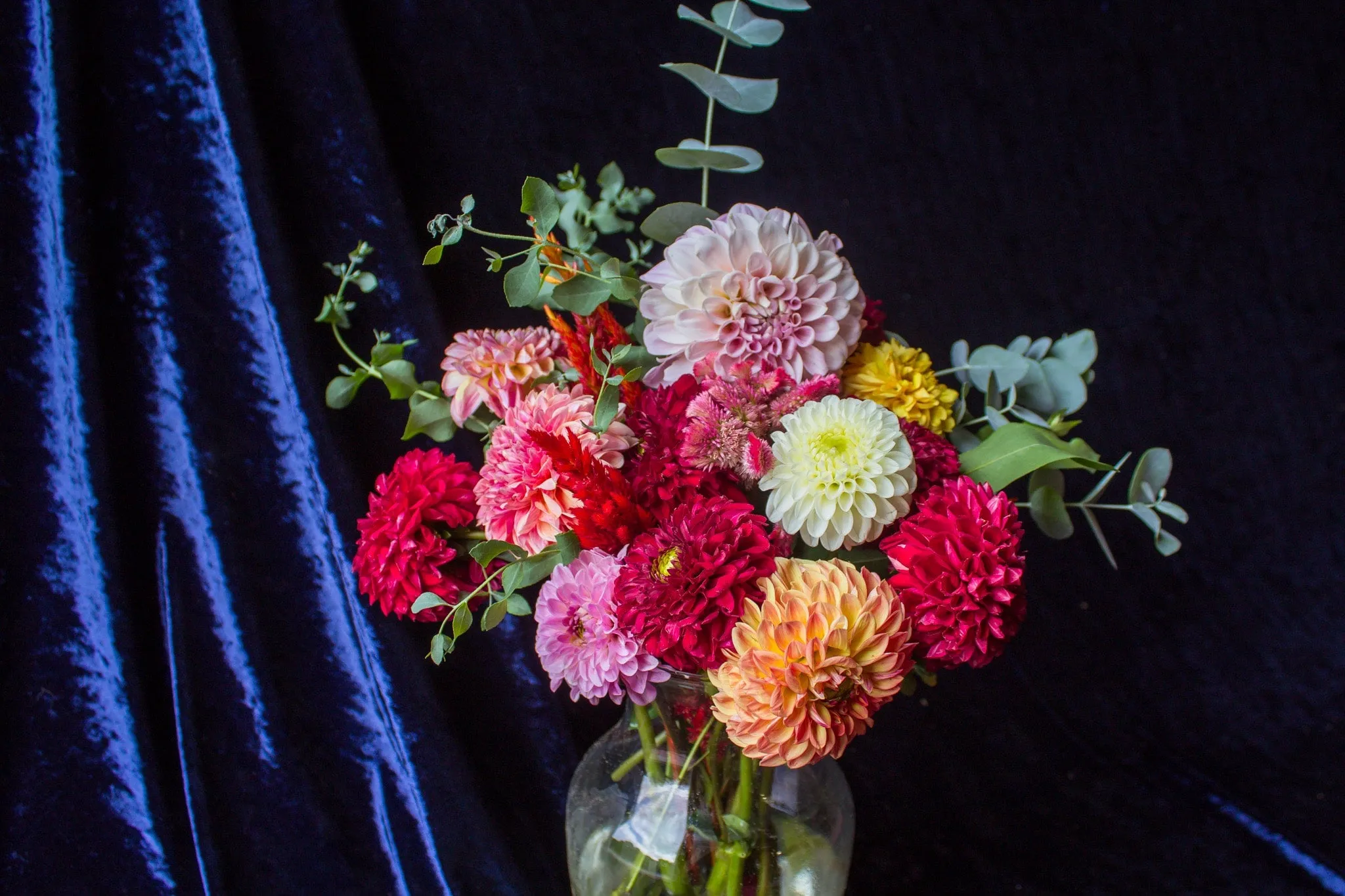 The Dahlia Bouquet